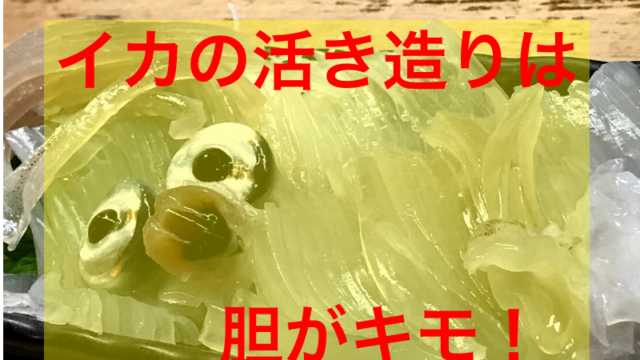 イカの活き造り＠ヤマタイチ 函館